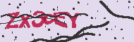 Captcha認証コード